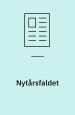 Nytårsfaldet (essay) 1995