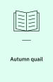Autumn quail