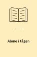 Alene i tågen
