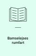 Bamselejses rumfart