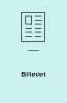 Billedet