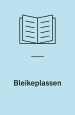 Bleikeplassen