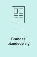 Brandes blandede sig