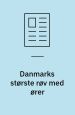 Danmarks største røv med ører