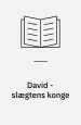 David - Slægtens konge 1985 For unge.