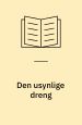 Den usynlige dreng