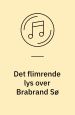 Det flimrende lys over Brabrand Sø