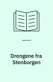 Drengene fra stenborgen