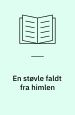En støvle faldt fra himlen