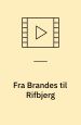 Fra Brandes til Rifbjerg : danske forfatterfilm fra 1922 til 1972 - en filmantologi af Mette Winge og Ole Henning Hansen