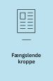 Fængslende kroppe