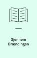 Gjennem brændingen