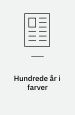 Hundrede år i farver : om Günter Grass’ historiske billedbog
