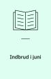 Indbrud i juni