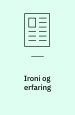Ironi og erfaring - Brudlinier i nyere islandsk poesi og prosa