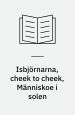 Isbjörnarna