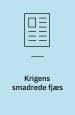 Krigens smadrede fjæs
