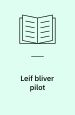Leif bliver pilot
