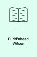 Pudd´nhead Wilson