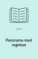 Panorama med regnbue