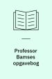 Professor Bamses opgavebog