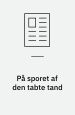 På sporet af den tabte tand. En nærlæsning af Katrine Marie Guldagers København I: Synsvinkler. Årgang 16, nr. 37 (2008), side 117-134.