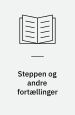 Steppen og andre fortællinger