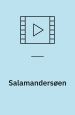Salamandersøen