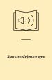 Skorstensfejerdrengen