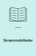 Skræmmebilleder. Essays