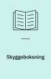 Skyggeboksning