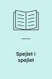 Spejlet i spejlet