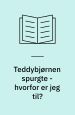 Teddybjørnen spurgte - hvorfor er jeg til