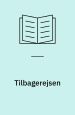 Tilbagerejsen
