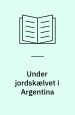 Under jordskælvet i Argentina