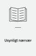 Usynligt nærvær - en spøgelseshistorie
