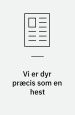 Vi er dyr præcis som en hest
