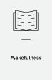 Wakefulness. Farrar Straus Giroux